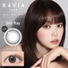 レヴィア 1day COLOR《スティルレイ》/ Revia 1day color《Still Ray》[10枚入り]