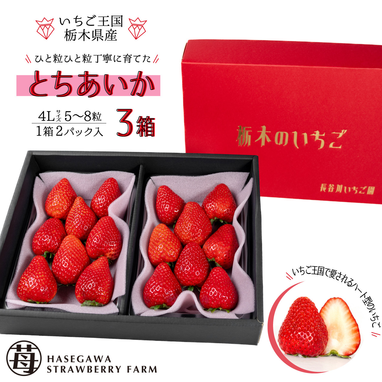 とちあいか（2パック入）3箱 | 長谷川いちご園｜産直通販「あるよ 
