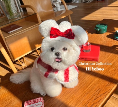 《予約》HI0046 Christmas Bear Cape