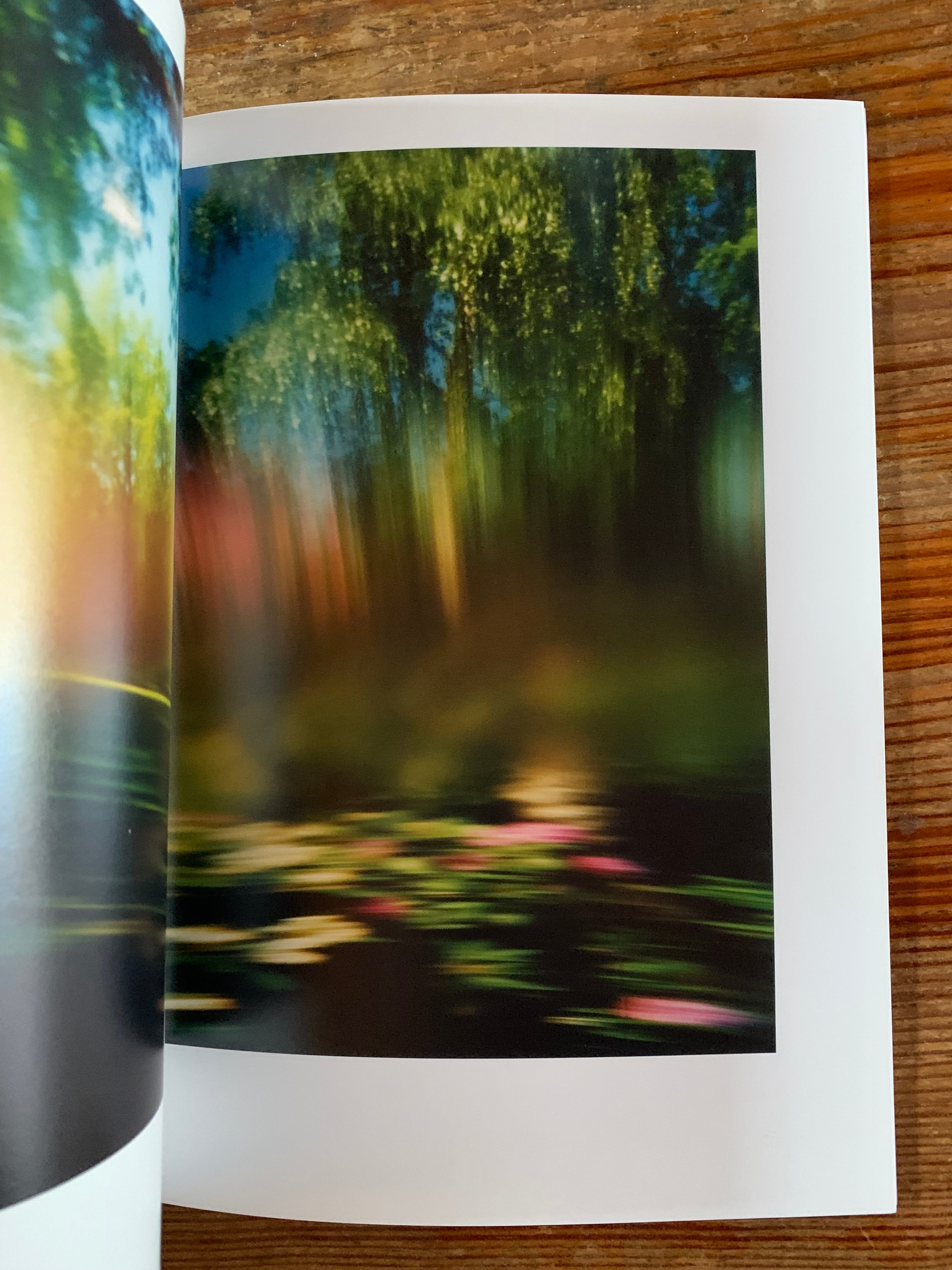 永瀬沙世『White Flowers』 | STANDARD BOOKSTORE