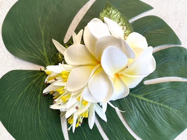 フラ 髪飾り プルメリア モンステラ 花 ピン髪飾り フラ Hula フラダンス ウエディング ハワイ ハワイアン雑貨 海外品 プレゼント ウクレレ 発表会 コンテスト 海 レイ インテリア 飾り アート ヘアークリップ ヘアーピン アクセ 造花 ヘアクリップ トロピカル 黄色