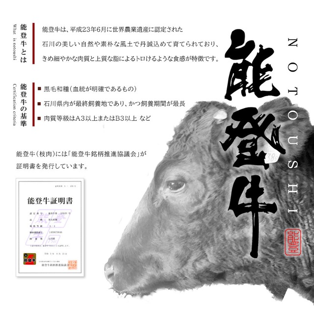 【まとめてお得】能登牛カレー(200g×4食入り)×３箱【CR-B3】【常温便】