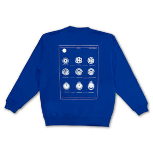 Embryo Development Sweatshirt Blue