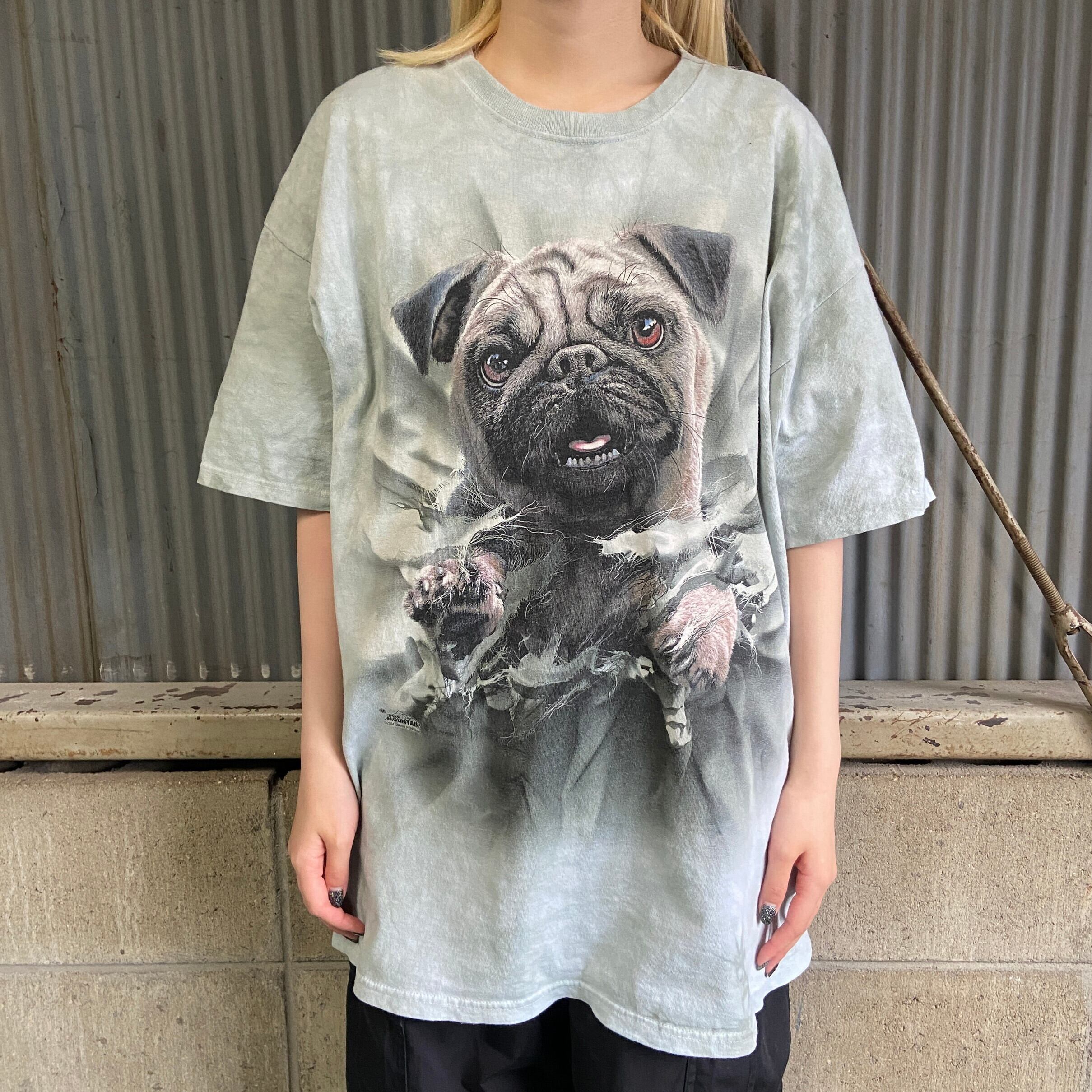 THE MOUNTAIN タイダイ パグ 犬 動物 アニマルTシャツ メンズXL 古着