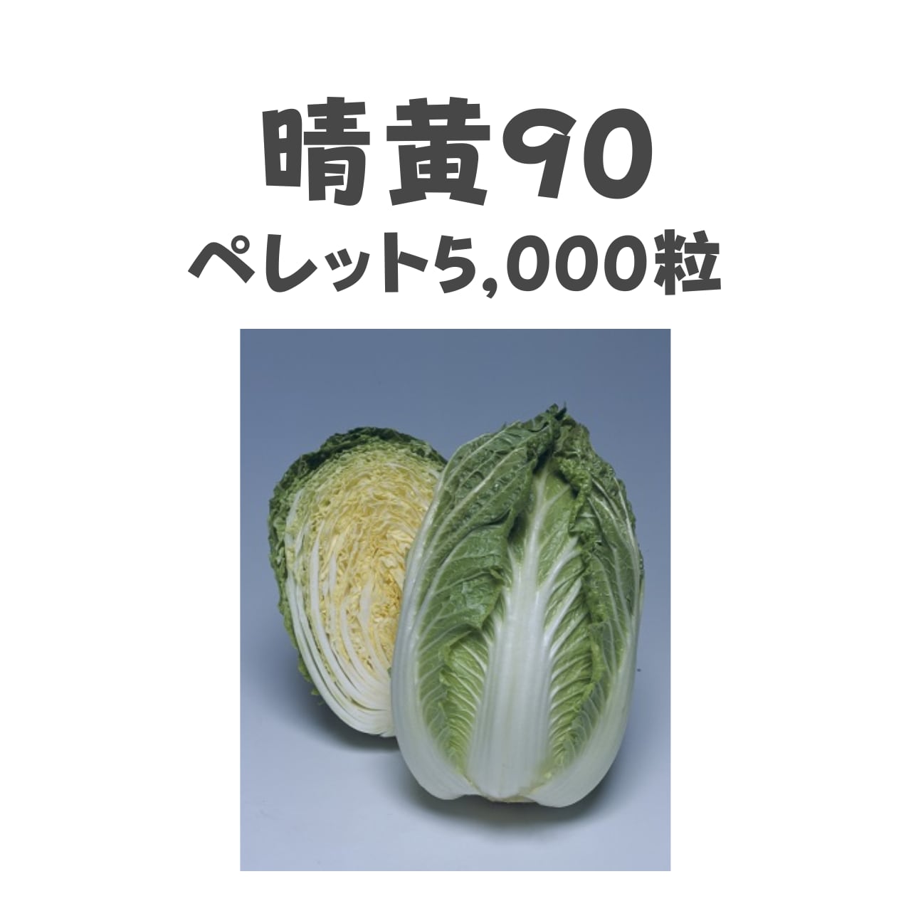 晴黄90 ハクサイ種子・ペレット5,000粒