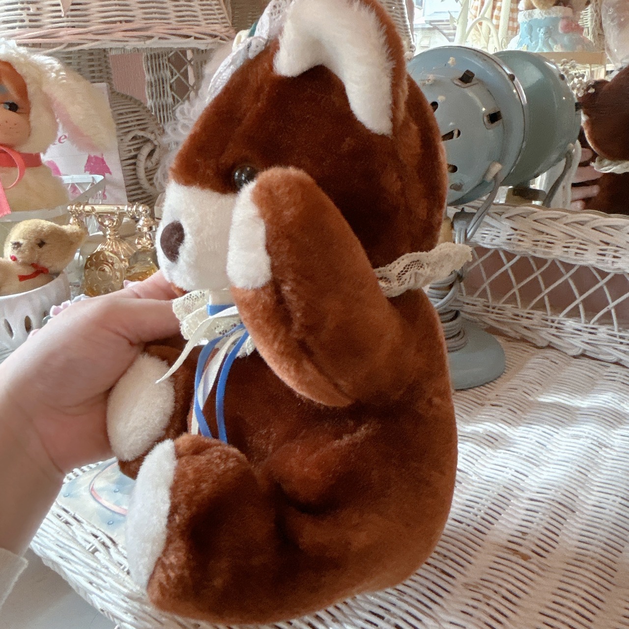 brown bearの画像04