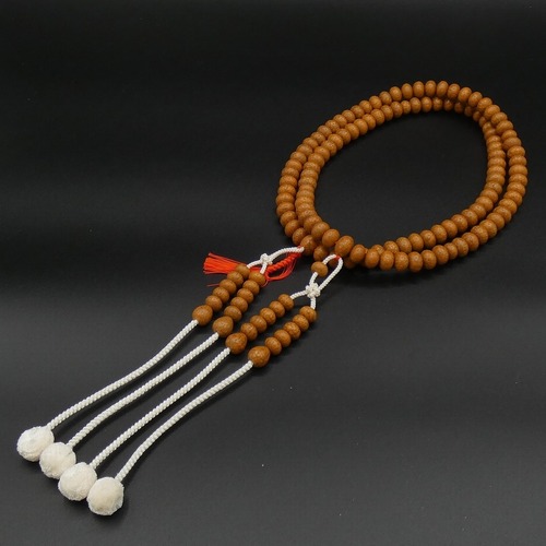 天竺菩提樹　尺三本連　共仕立