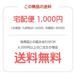 ソーミンチャンプルー　ちょっと難易度高めですが１０分で一皿できますセット