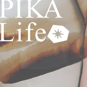 ⭔ お客様専用ページ ✦ spica.co.info