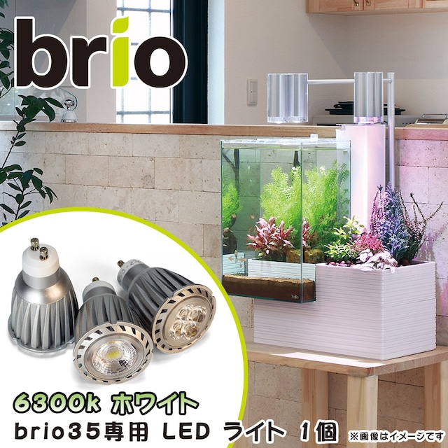 brio(ブリオ) 35専用 LED バルブ ライト