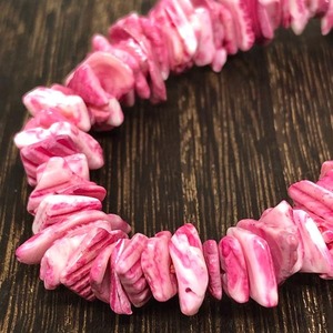 SALE【10g】天然シェル/貝/染色ビーズ/スペーサー