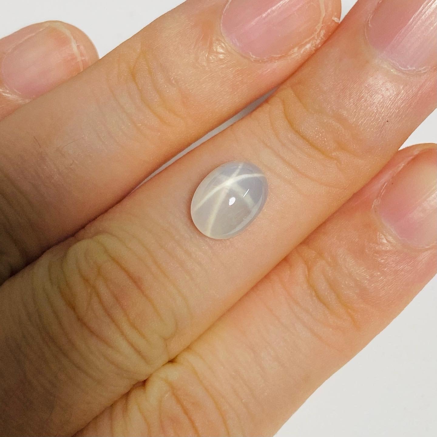 神秘的な海月 スターサファイア