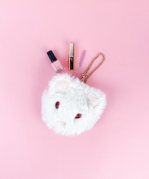 F258200-19_Harry Potter×Flapper イタチドラコフェイスポーチ