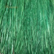 フラダンス 衣装 モレ グリーン系 腰みの ショート丈 スカート タヒチアン ケース付き 鮮やか 華やか 紐 緑 ハワイアン アロハ フラ ダンス レッスン 練習 モレスカート おしゃれ ボリューム感あり お楽しみ会 パーティー ダンス衣装 コスチューム