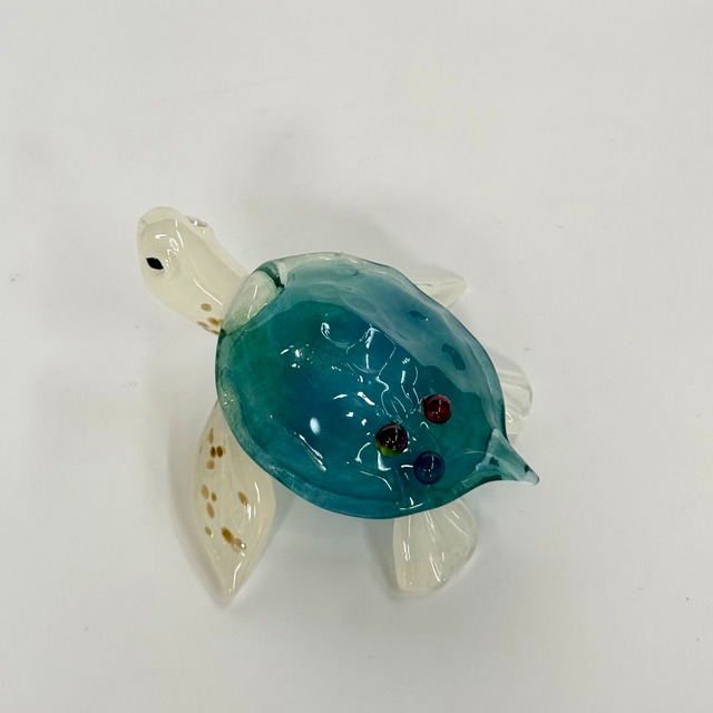 岩沢 達　ウミガメ ジュエリー付き