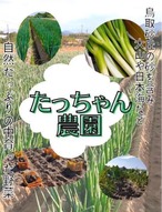 【訳あり】黄金里芋 女早生芋 宅急便 10kg さといも サトイモ 山芋