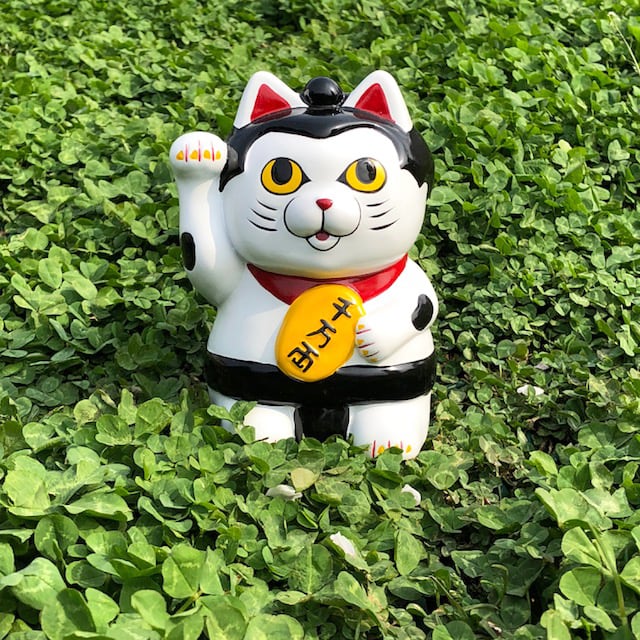 ⭐️59匹⭐️招き猫⭐️御頼み猫⭐️ゴマスリ猫⭐️よろしゅう猫⭐️置物 Amazon.co.jp: 招き猫 5号 白小判猫（右手） 常滑焼 : ホーム