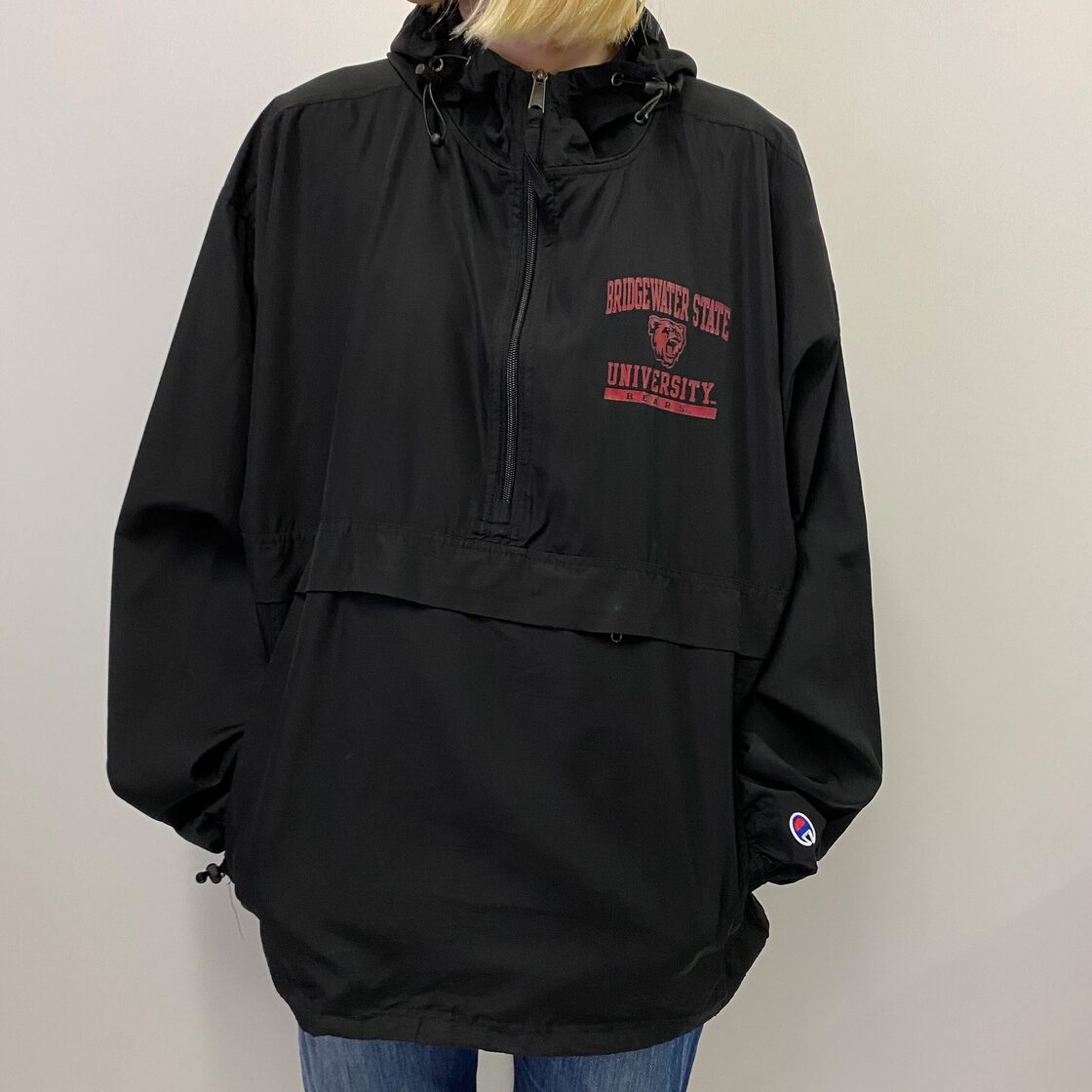 Champion - 【美品】Lサイズ champion チャンピオンアノラックパーカー 