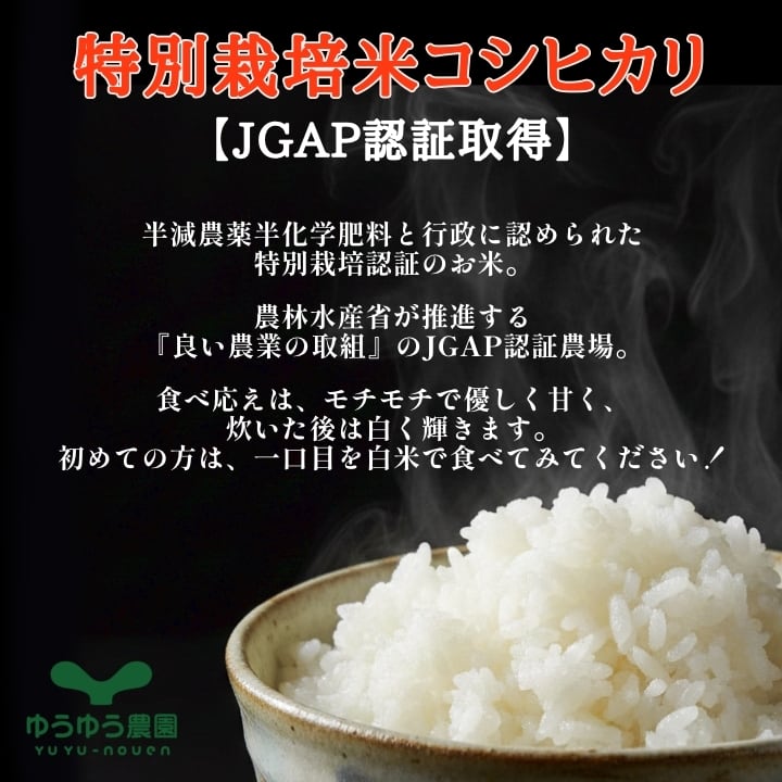 山田のややこセット【10kg@5kg×2】特別栽培米 | ゆうゆう農園
