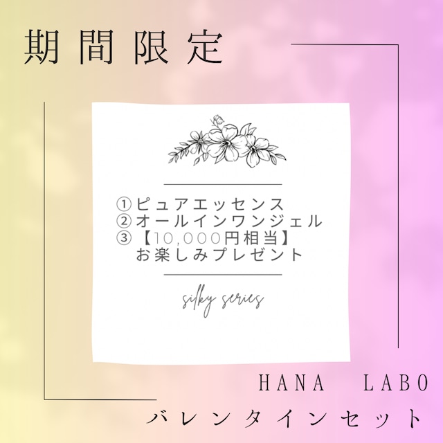 【期間限定】HANA LABO バレンタインセット