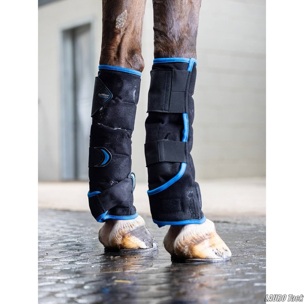 ポールダンスニーパッド 【POLEDANCERKA】 | Pay ID