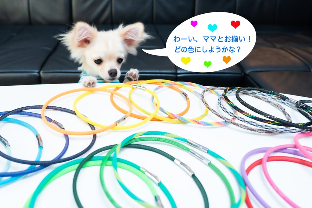 With Petペアネックレス | Be:ion ビーイオン 公式オンラインショップ
