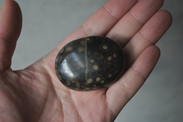 インド産ライオライト Rhyolite 1765