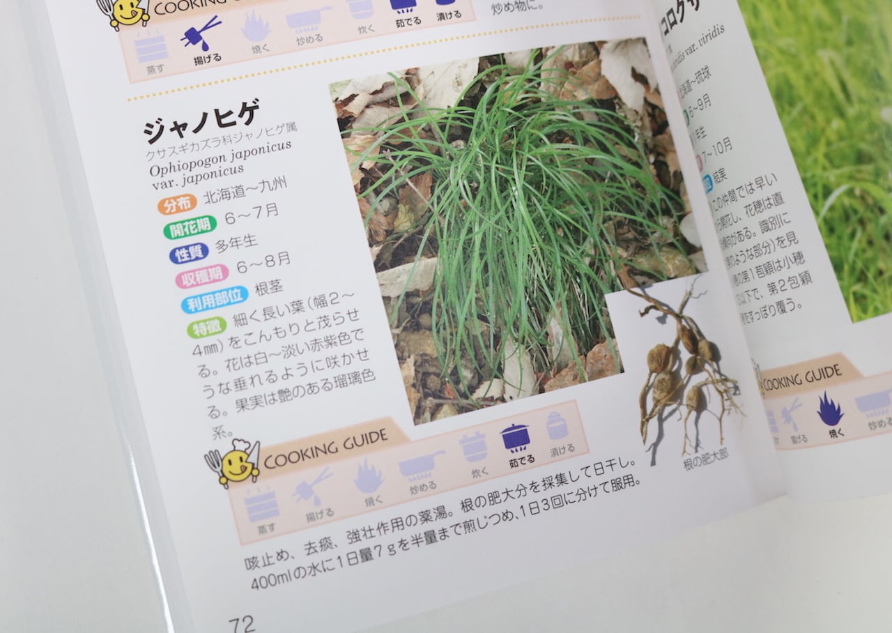 食べられる草ハンドブック｜森 昭彦 | はるな商店 ｜世界をつくるお
