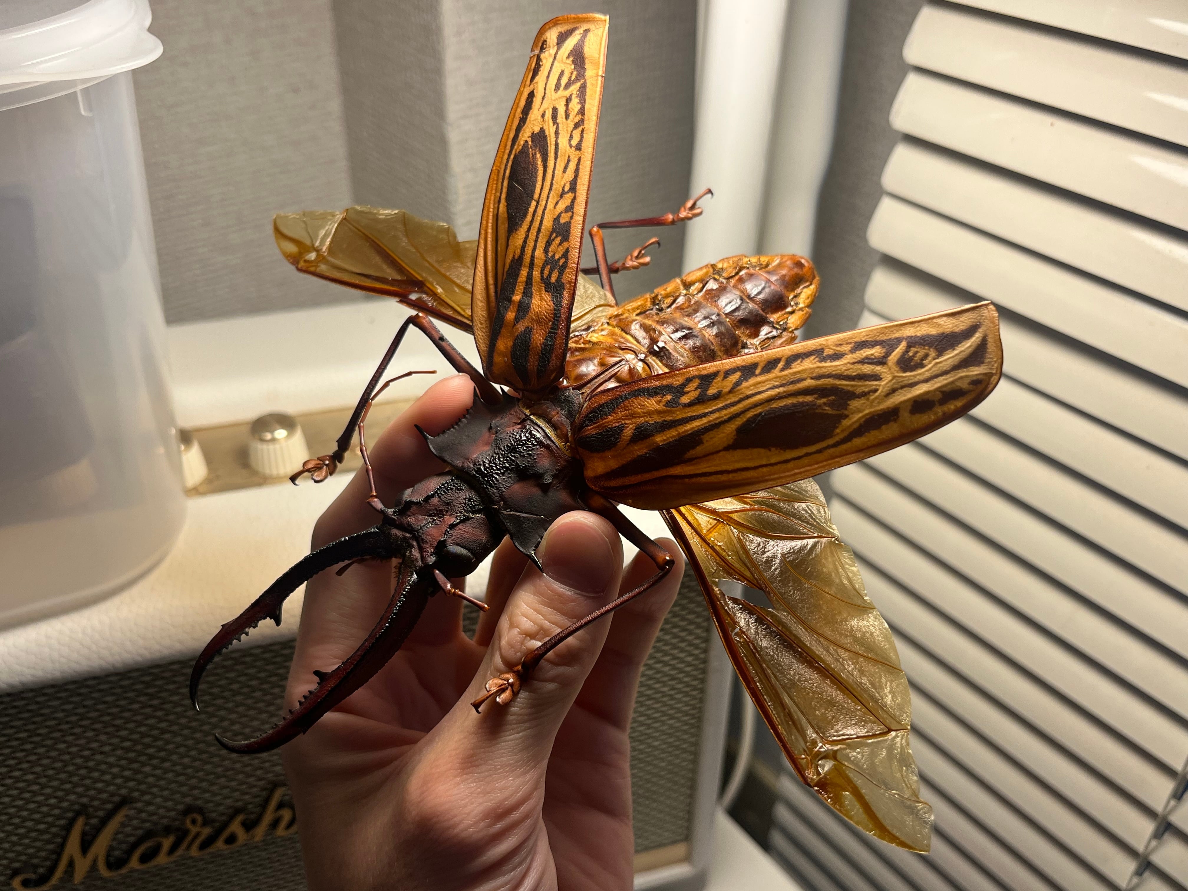 ALL ITEM | オモニキチュウ