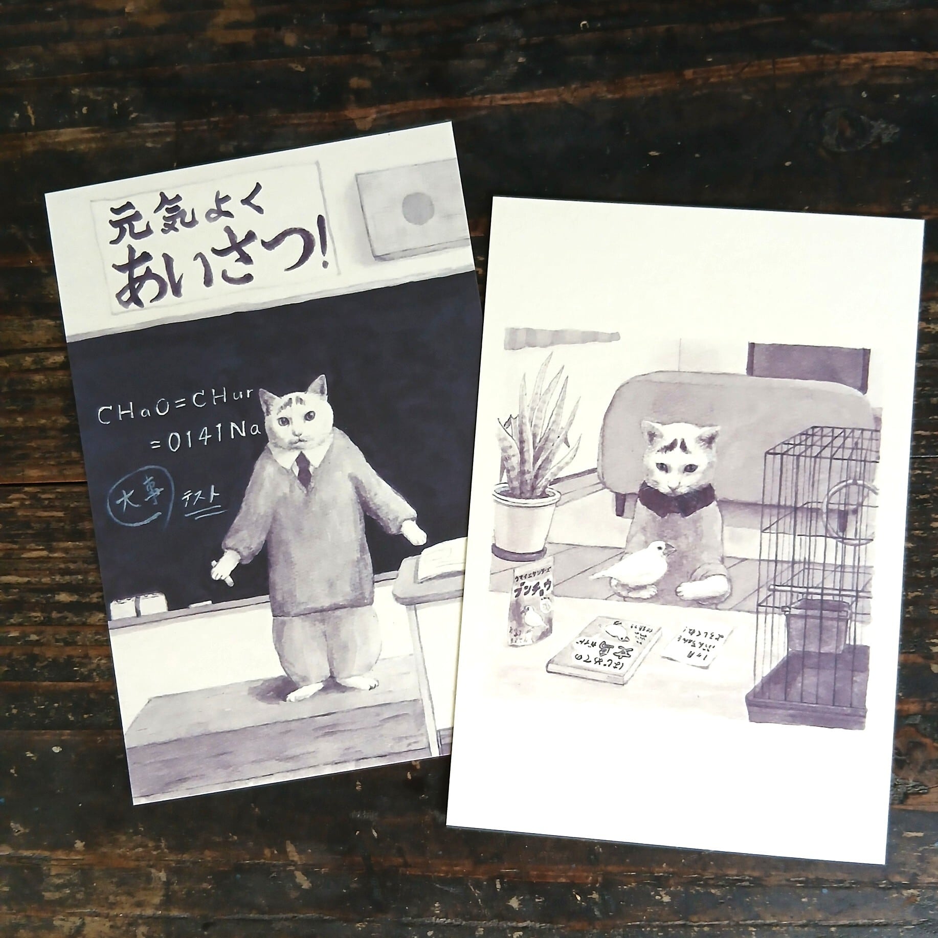 出口かずみ | ねこのみち