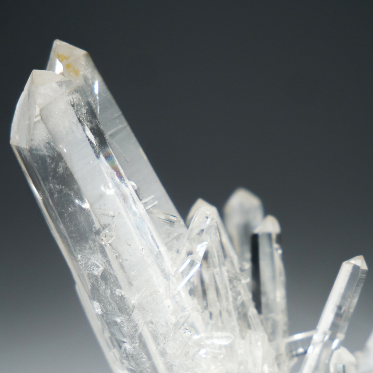 コロンビア産 水晶 クリアクォーツ/ 原石 標本【2】