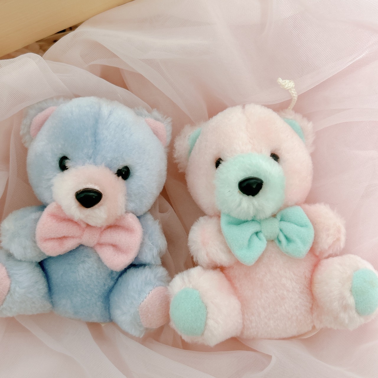 Pastel kumaの画像01