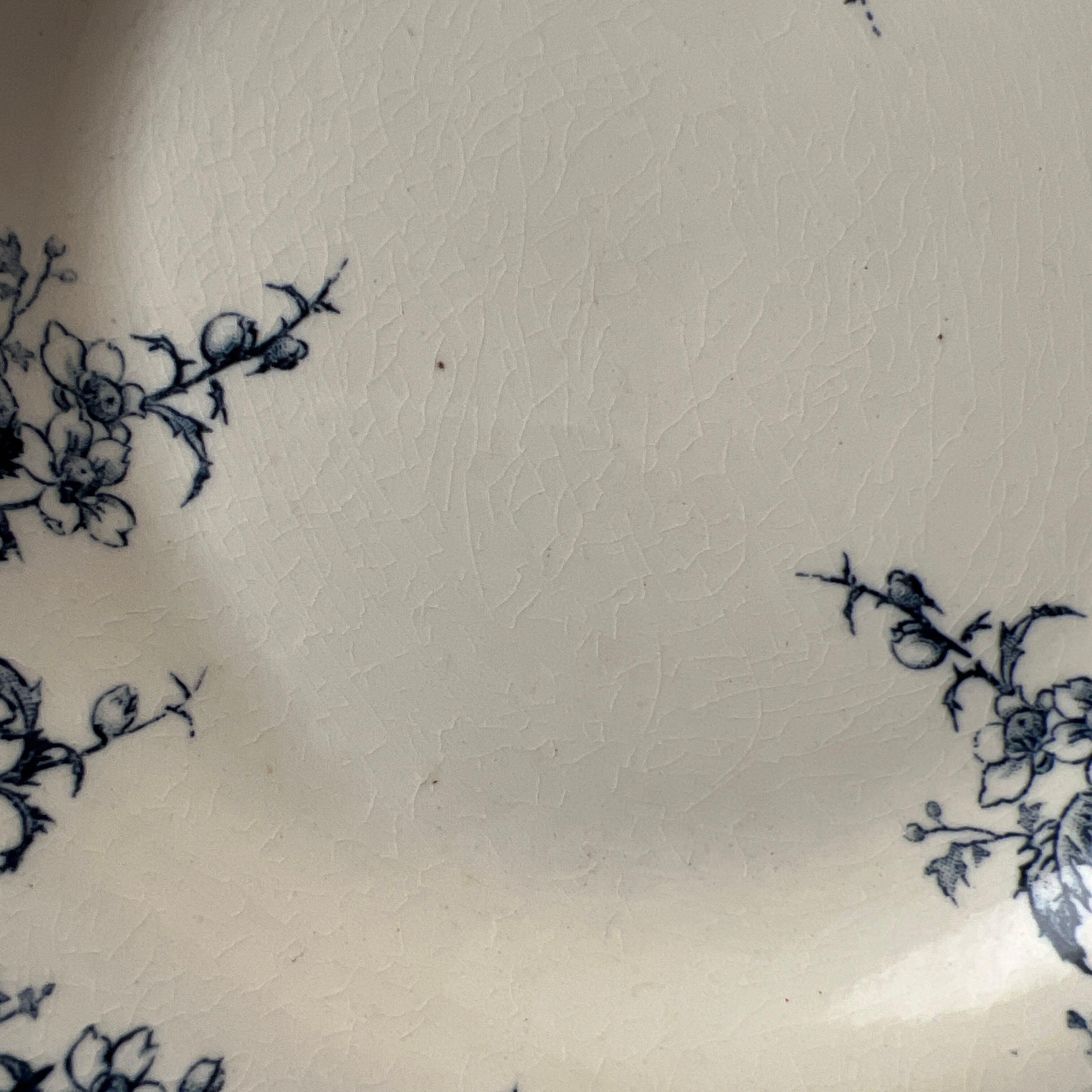 人気の ジアン スープ皿（C） アンティークプレート フランス ヴィンテージ