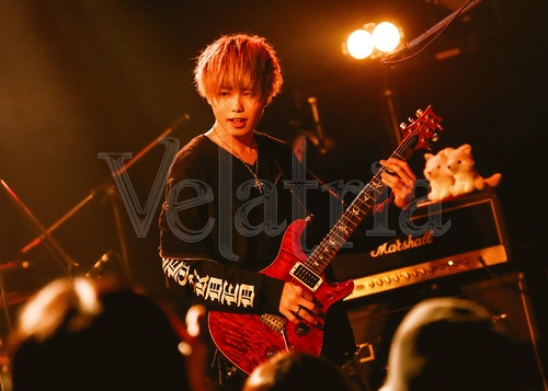Velatria / KABAYA / 初台DOORS / 200124-1328
