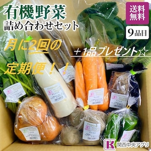 毎月2回の定期便☆有機野菜9品目セット＋1品プレゼント☆　※北海道、沖縄、離島には発送できません。