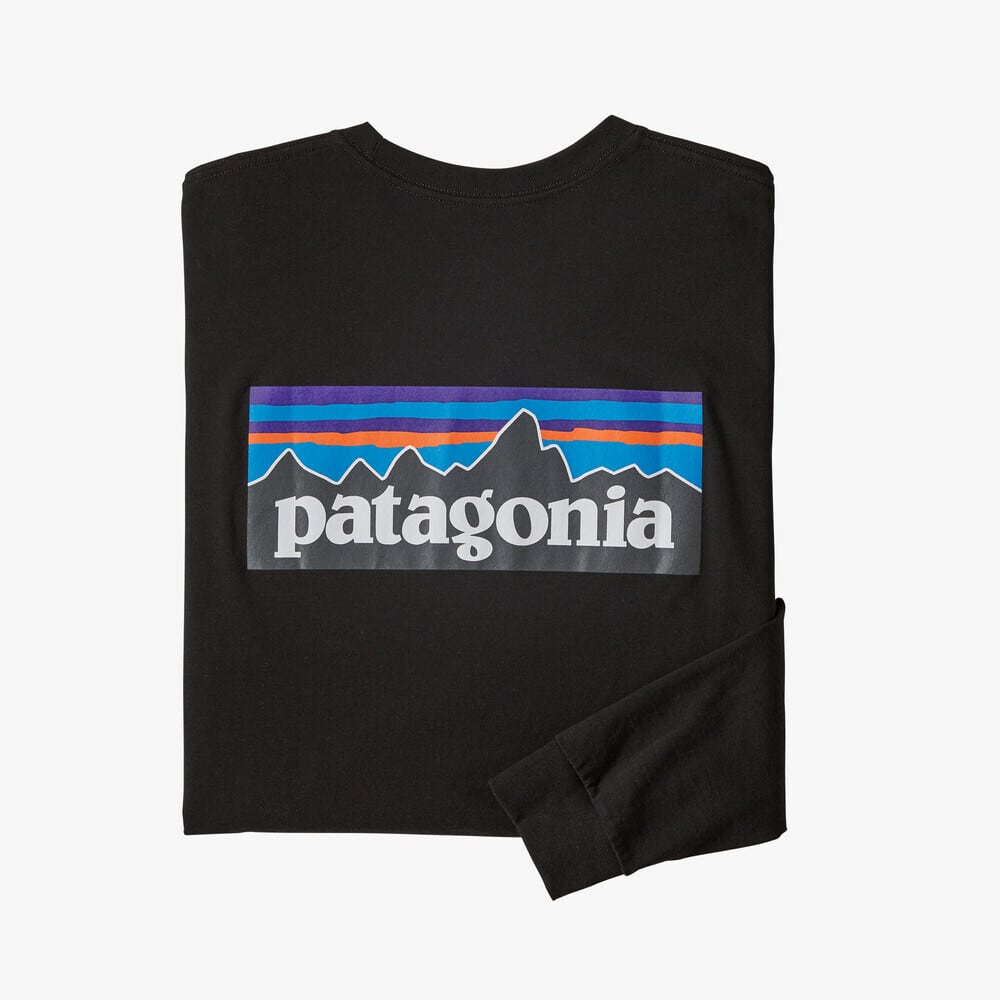 パタゴニア PATAGONIA Tシャツ 長袖 ロンT メンズ ロングスリーブ P-6 ...