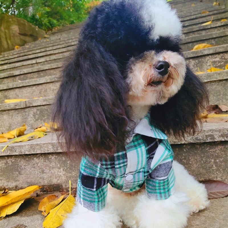 大型犬もOK さわやかグリーンのチェックシャツ