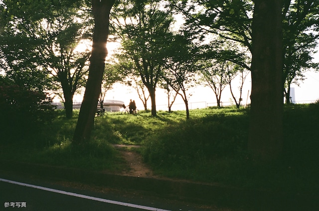OLYMPUS TRIP35 セルリアンブルー（栃木レザー）