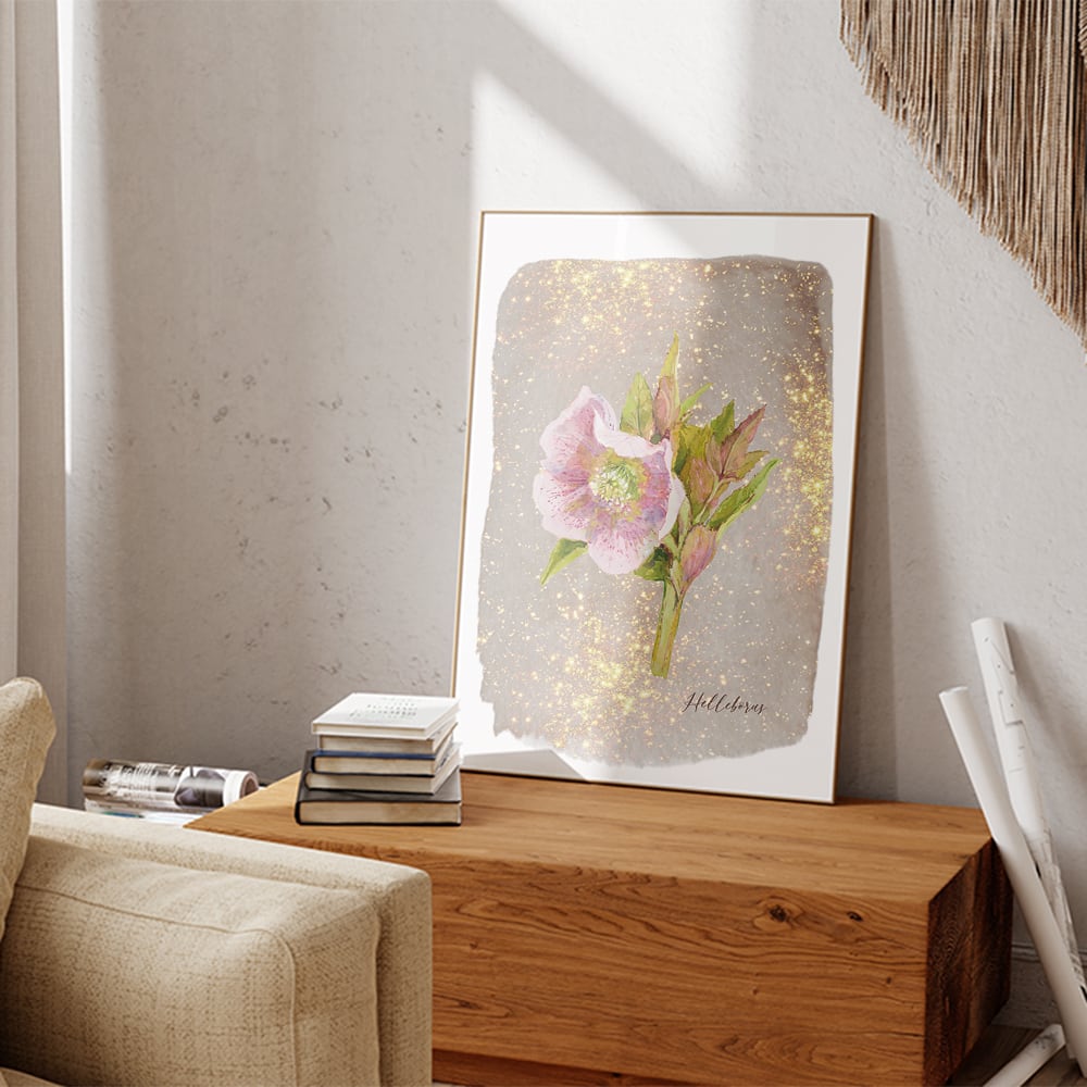 クリスマスローズのポスター / i1119 / 冬から春の花 ボタニカル