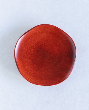 \ 数量限定！ /RIN　5寸カメリア（りん）