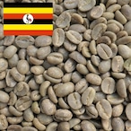 【UGANDA】ウガンダ マウントエルゴン 100g~