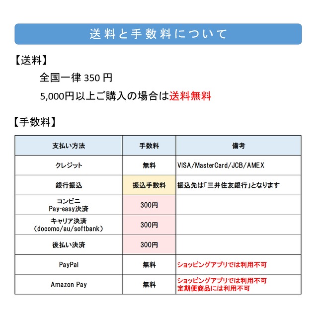 【ギフト用品】手渡し用紙袋（Lサイズ）