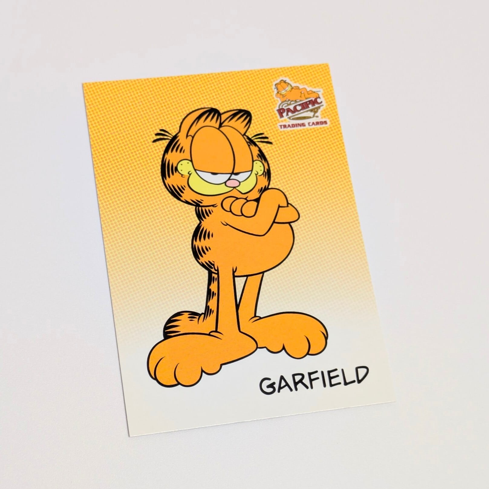 送料無料！☆ DEADSTOCK / VINTAGE 2004 ☆【 Garfield ( ガーフィールド ) 】トレーディングカード9枚SET 〚アメリカン雑貨 アメトイ〛