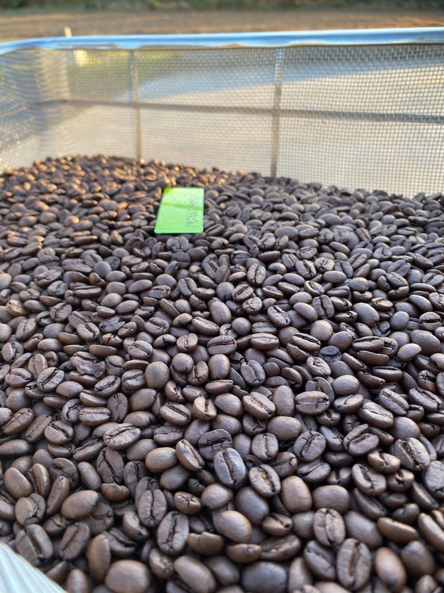 ハニーショコラ City Roast 100ｇ（ブラジル）