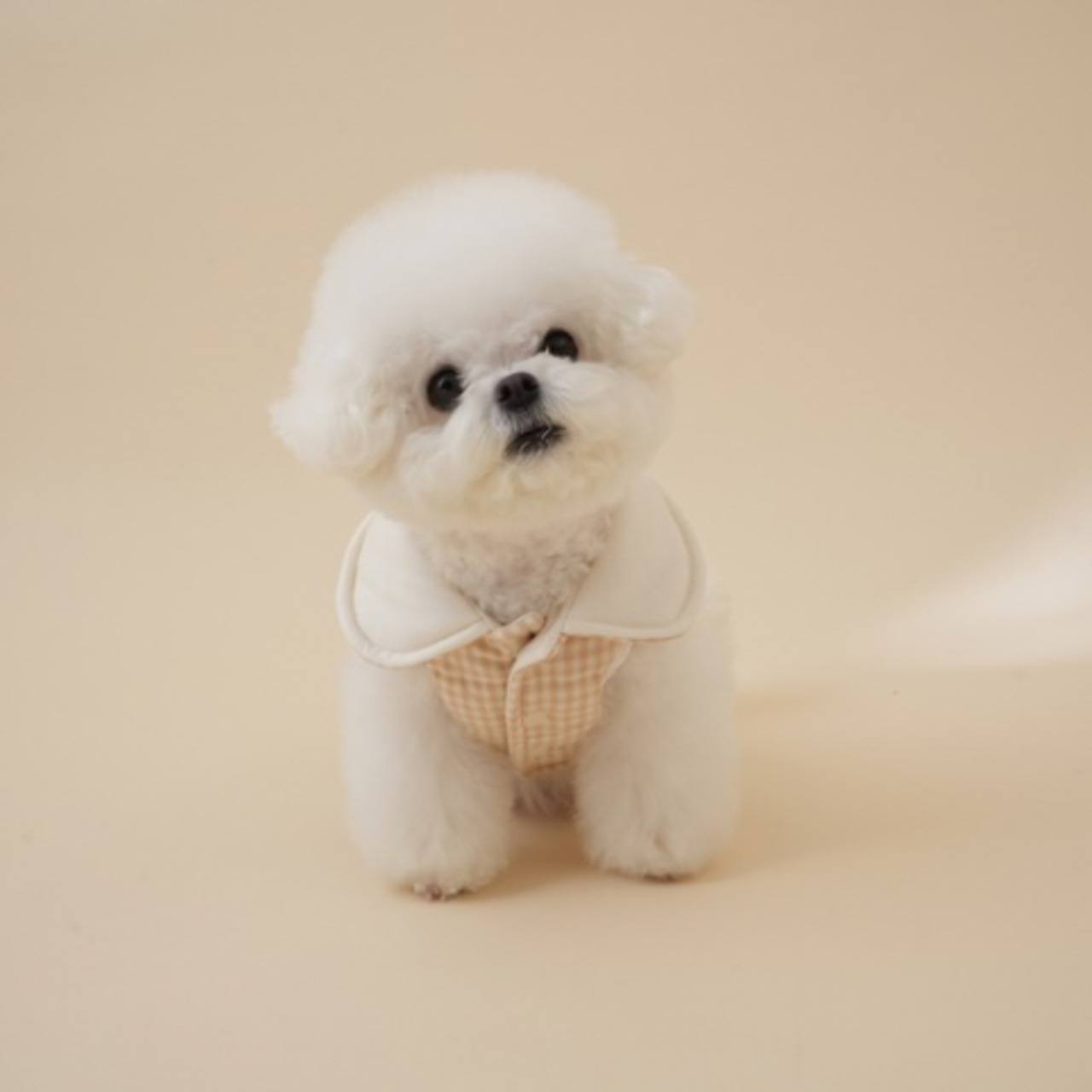 【予約】Organic Milk Padded Vest｜ Brown Check（お名前刺繍入り） - 2