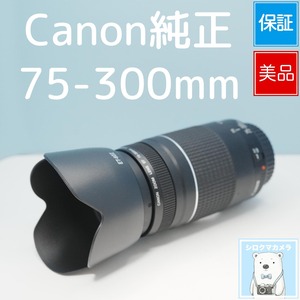 Canon純正 75-300mm EFマウント用 望遠レンズ 美品 シロクマカメラ a7672