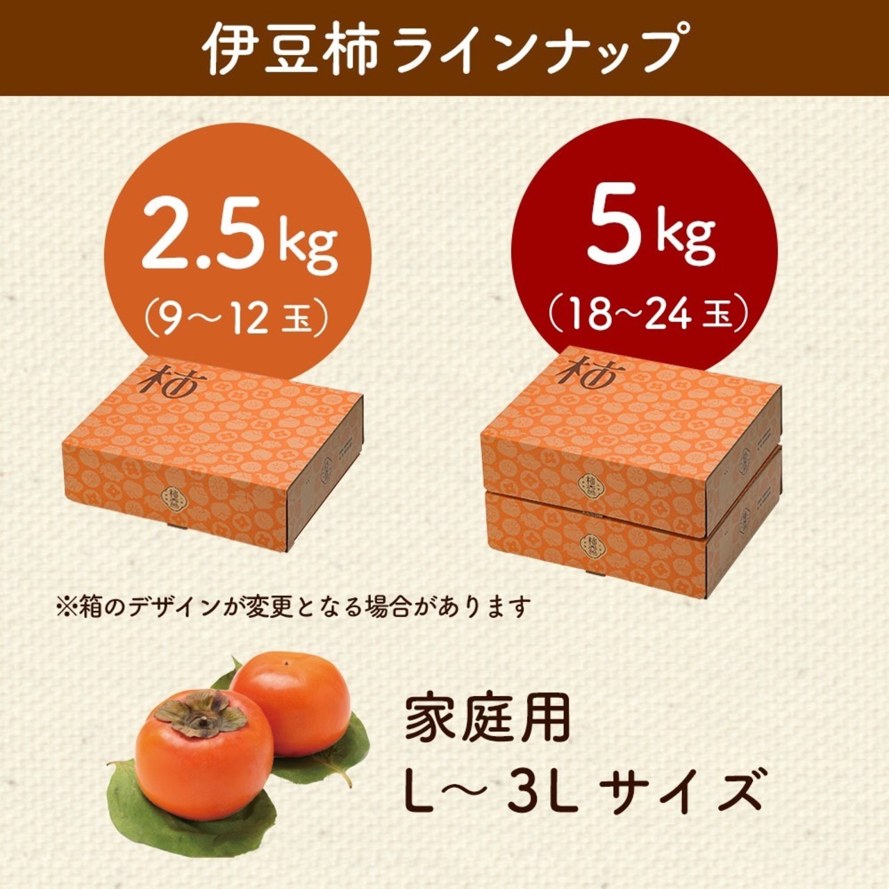 【予約・10月下旬～11月発送】【2026年産】伊豆柿 2 L 11玉（2.5ｋｇ）