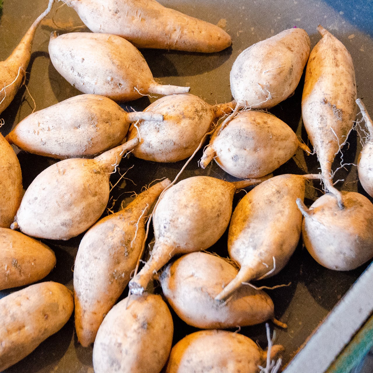 YAYOさま専用　☆ 種子島産　安納芋　干し芋　3.2㎏　8パックお値段据え置きでの挑戦です