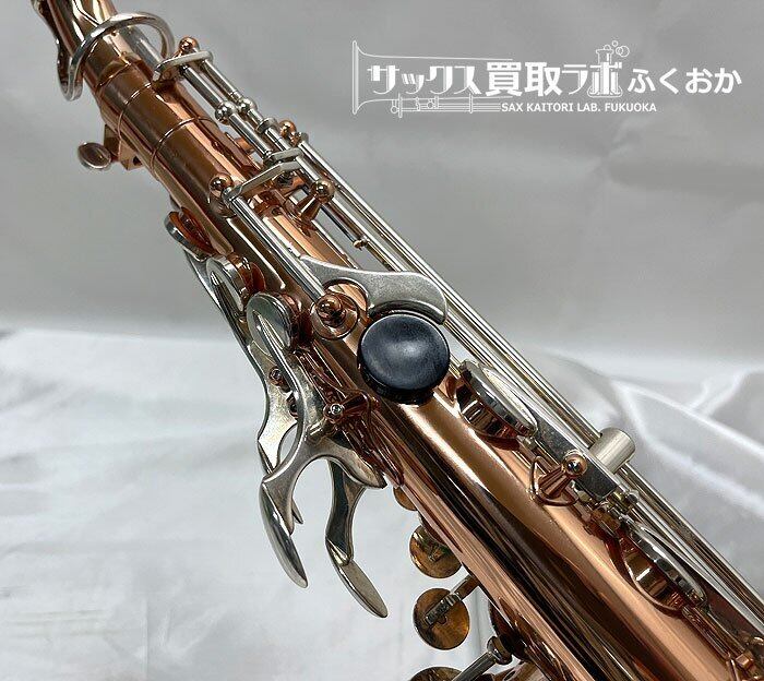 アルトサックス本体 昨年夏に新品として購入 程度良好 FORESTONE USED 中古 フォレストーン アルトサックス GX COGNAC
