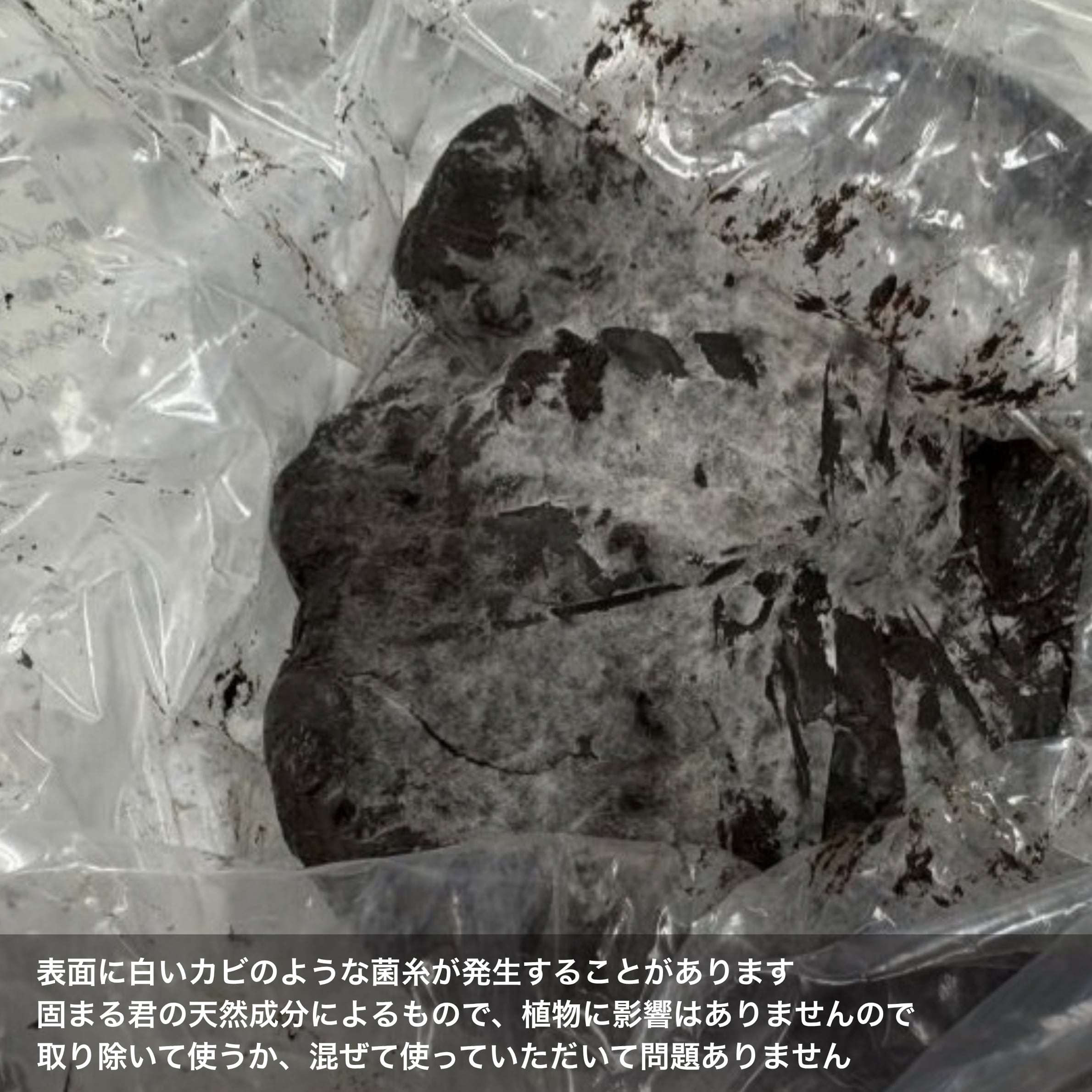 固まる君 400g【5個セット】 ◇乾くと固まり水中でも使える | 苔